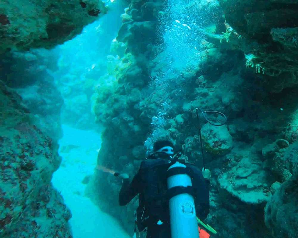 padi-scuba-diving-training-01
