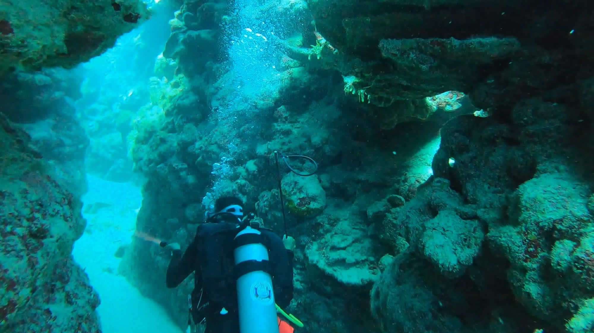 scuba-diving-padi-training-01